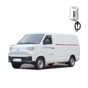 China Macpherson Rear Suspension FEIDI Auto U6 2-Seater Electric Van for Cargo Transport on sale