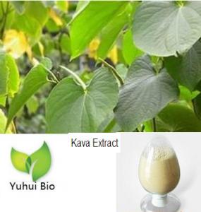 China Kava Root Extract,kava extract,kava extract powder,anti depression, Kavalactones on sale