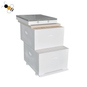 Cheap 20mm Thick 10 Frames White Wood Pine Bee Hive for sale