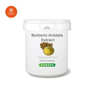 China Food Grade 80% Silymarin 30% Silybin Isosilybin Milk Thistle Extract on sale