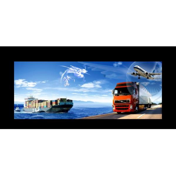 Office Staff Meeting Mesh Chair with Low Back and Adjustable Height Modern Desig