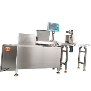 Papa P308 Automatic Extruder for Filled Finger Biscuits | Complete Production