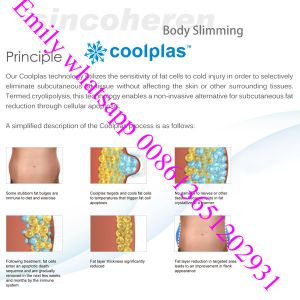 Cheap slimming machine Coolplas cryolipolysis fat freezing liposuction sincoheren coolsuclpting for sale