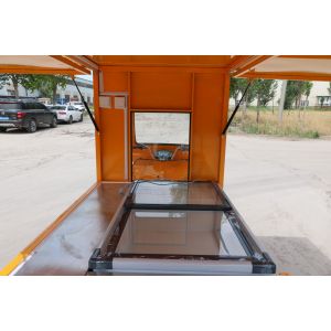 Foldable Handy Dragonfly Tricycle with Disc Brake and Performance