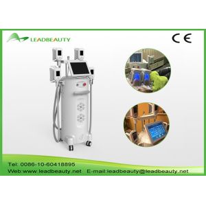 China 100% fat freeze cryo sculpting body slimming 3d china cryolipolysis machine on sale