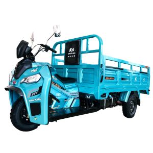 China 2021 Heavy Duty Motorized Cargo Tricycle with Hydraulic Rear Brake and Strong Power on sale