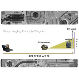 High Precision X Ray Inspection System For Forensic Investigation / Border