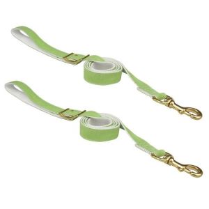 Colorful Dog Collars And Leashes / Dog Walking Leash Canvas Padded Material