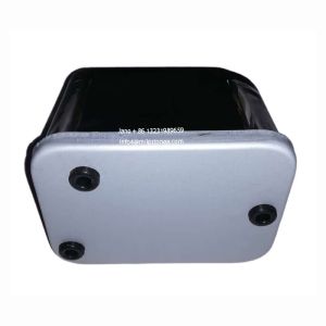 Excavator Diesel Engine Fuel Filter 4036432 BF959 AR86745