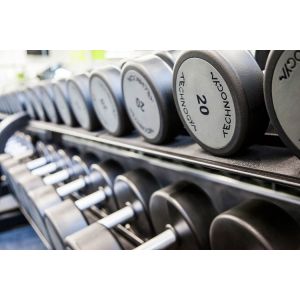 dumbbells for gym OEM the dumbbell