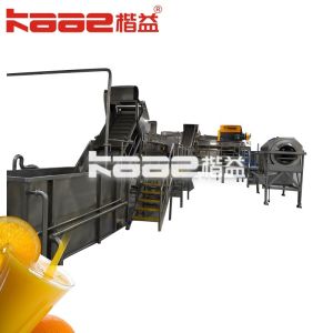 Citrus Fruit NFC Juice Processing Machinery Line With Customized Machine