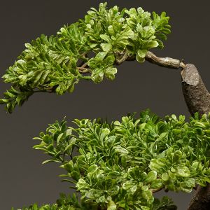 OEM High Imitation Artificial Landscape Trees For Airports