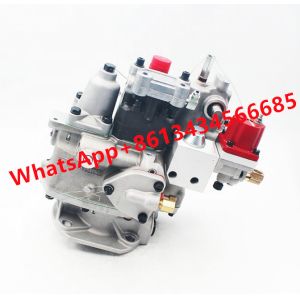 China Engine Diesel PT Fuel Pump For Cummins NT855-C 3015958 on sale