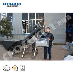 Video Outgoing-Inspection Provided Semi-Automatic Ice Packing Machine with Best