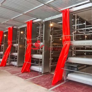 Anti-Aging Stable Operation Poultry Manure Removal System Rust Resistance