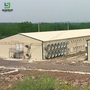 Prefabricated Low Cost Steel Structure Poultry House Construction Layer Cage