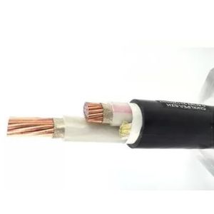 XLPE Insulated PVC Sheathed Power Cable Flame Retardant 0.6 / 1KV CU / XLPE /