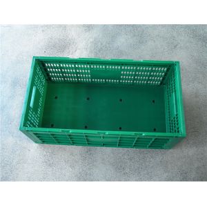 Chicken Transport and Egg Storage Collapsible Plastic Crate with Storange