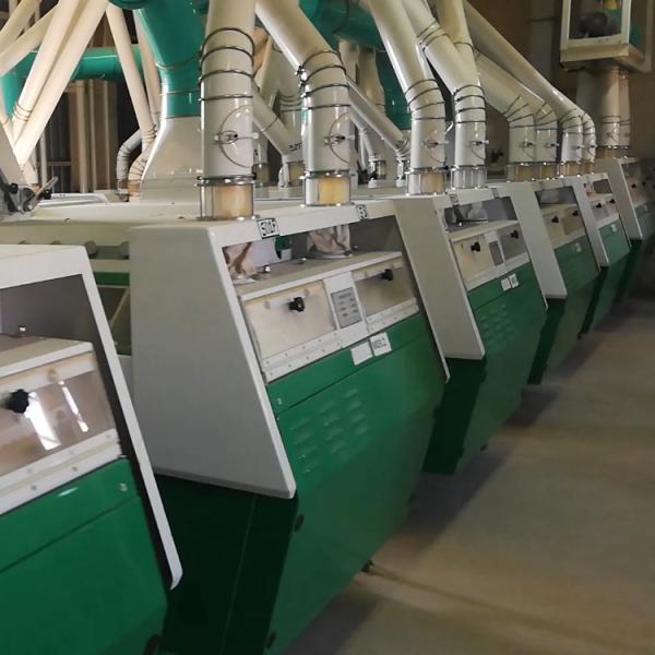 Quality 200 Ton Wheat Flour Plant Machine Automatic Flour Mill Plant wholesale