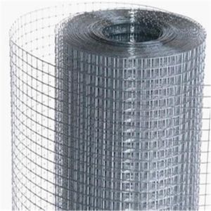 Stainless Steel Galvanized Welded Wire Mesh for Chicken Bird Cage with Better