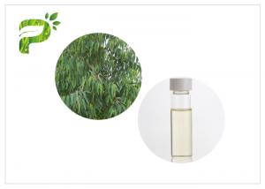Cheap Eucalyptus Globulus natural plant oils 8000 48 4 Colorless to light yellow liquid for sale