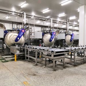 Cheap Heat Sterilization Fully Automatic Double Door Sterilization Retort Based on Shake Rotary Direct Principle for Sterilization for sale