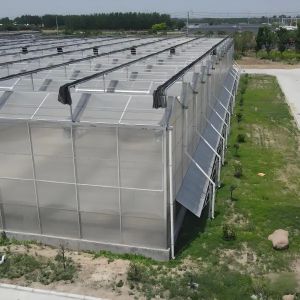 Polycarbonate Greenhouse for Cabbage Planting Durable