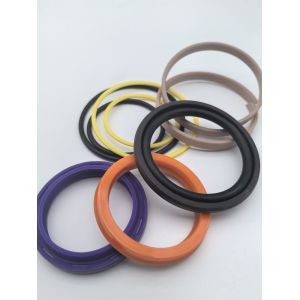 Excavator Hydrulic Cylinder Seal Kit for JCB 550-42849 55042849 OEM/ODM