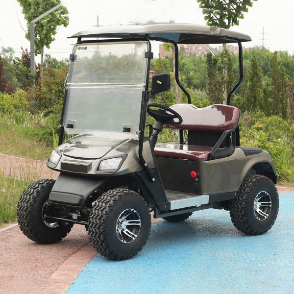 Quality LSV 2 Seater Golf Cart High Performance Lithium Battery Color Option 25-40 Mph For Leisure Resort wholesale