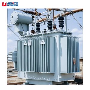 35kv Class Power Transformer Single Coil Shape 3 Phase Oil Immersed Type 30KVA