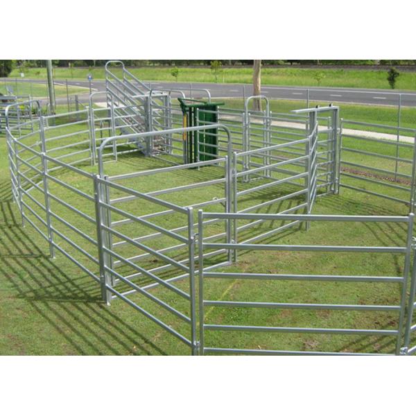 Quality Multi Function Square pipe H1.8m Livestock Fence Panels wholesale