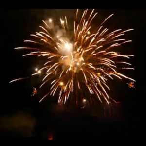 Custom Pyrotechnic Chinese Outdoor Classic Cake Fireworks 16 Shot