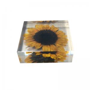 Cheap Cubic acrylic resin paper weight with insect and flowers inside acrylic paperweight for sale