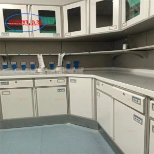 Customized Made Size Chemistry Lab Bench Price Efficient Performance