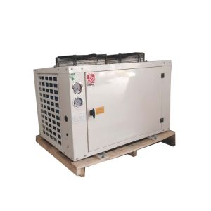 3hp R404A U Type Semi Hermetic Condensing Unit For Chiller Cold Storage Cold