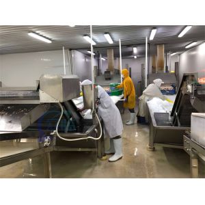 Industrial Shrimp Processing Machine 2280W Practical For Seafood Cooling