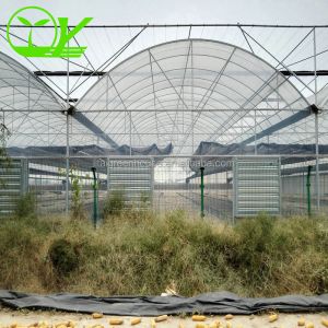 Hydroponic Farming Agriculture Greenhouse with 8m Wide Span and Transparent