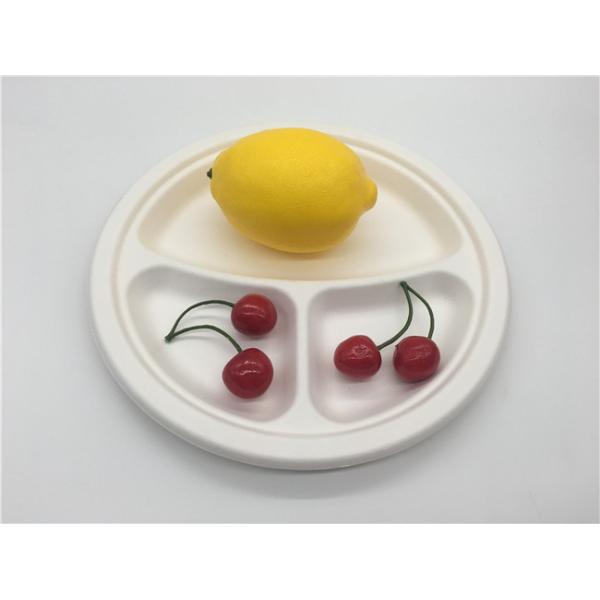 9" Biodegradable Sugarcane Bagasse Plates