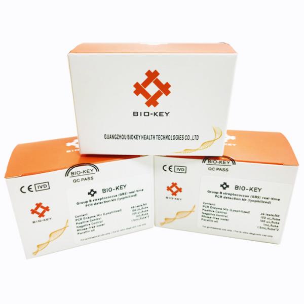 Real Time PCR Group B Streptococcus GBS STD STI Test Kit Lyophilized 48 Tests