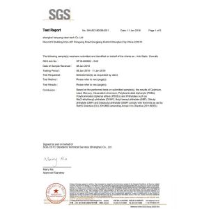 Shanghai Hanyang Clean Technology Co.,Ltd Certifications