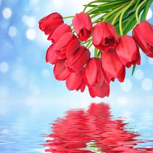 Cheap One way window blinds printed roller shades / Motorized roller blinds for window / 3D printed roller shade for sale