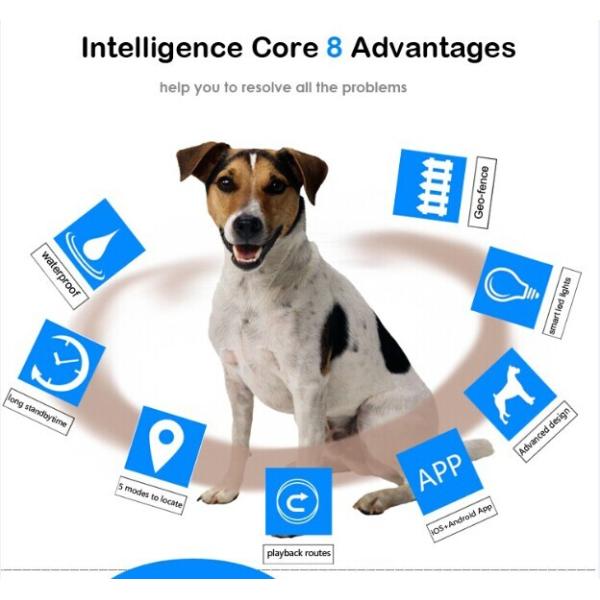 Reachfar rf-v32 fast track gps dog tracker phone number gen-fence wifi safety