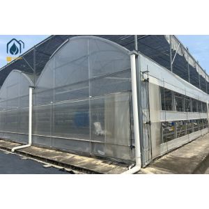 Plastic Multi Span Eco Friendly Greenhouse With Temperature Controlled Growing