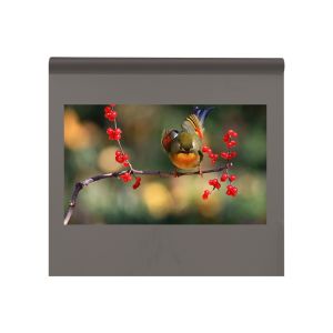 100um Clear Rear Projection Film 3D Holographic 30m Length For Window Store