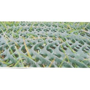 Processing Service Moulding HDPE Grass Reinforce Nets Plastic Meshes Net