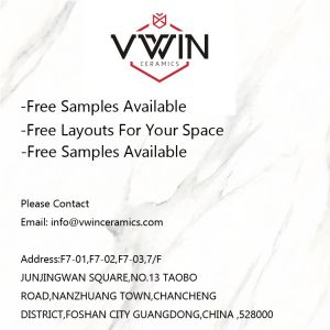 Floor Mounted Installation Modern Ceramic Toilet WC with Plastic Steel Flush