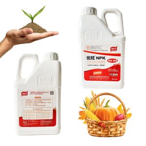 Shiny Compound Water Soluble Fertilizers NPK 100%