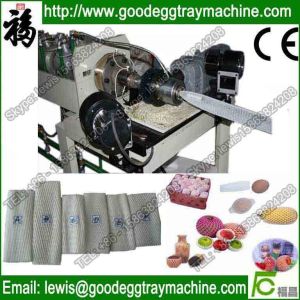 Made in China FDA Testing Foam Apple Net making machinery