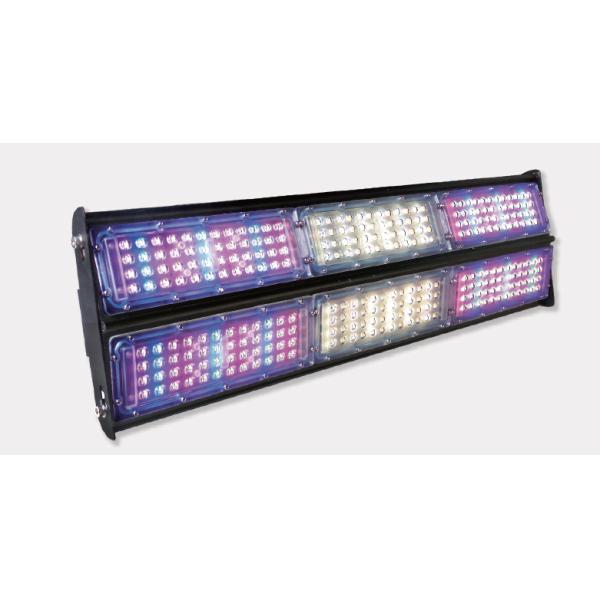 LED Grow Lights Horticulture LED Lights for plant growing LED Let it Grow