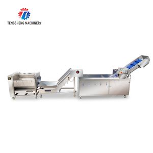Roller brush bubble washing production line Fruit Vegetable FOOD processing